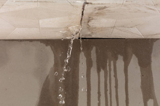 Professional Water Damage Inspection technician working in Eustis, FL